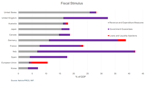 Chart FIscal Stimulus by Country